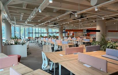Vadistanbul'da 791m² Eşyalı, Teraslı Kiralık Ofis