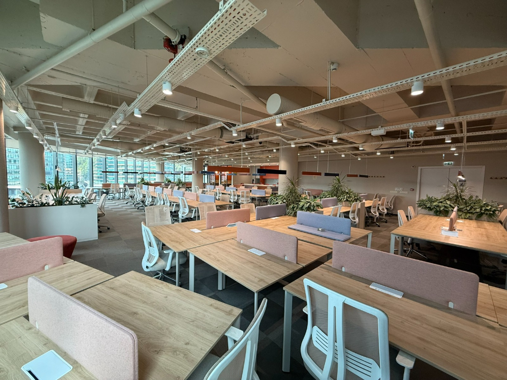 Vadistanbul'da 791m² Eşyalı, Teraslı Kiralık Ofis