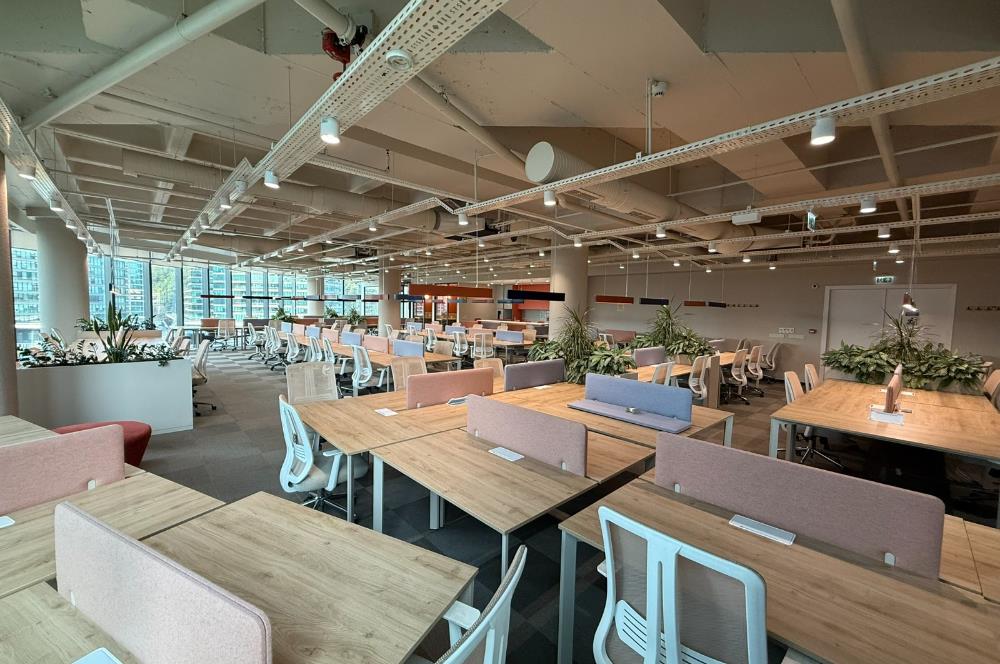 Vadistanbul'da 791m² Eşyalı, Teraslı Kiralık Ofis