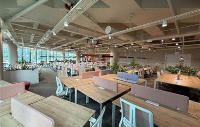 Vadistanbul'da 791m² Eşyalı, Teraslı Kiralık Ofis