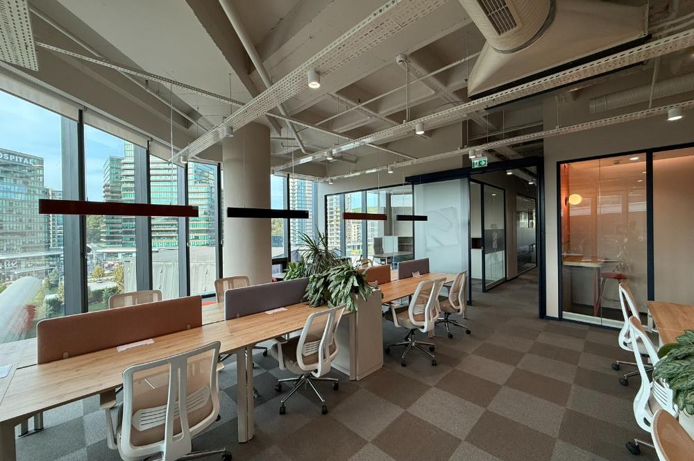Vadistanbul'da 791m² Eşyalı, Teraslı Kiralık Ofis