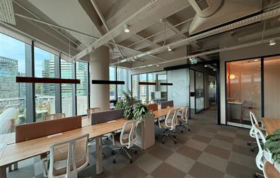 Vadistanbul'da 791m² Eşyalı, Teraslı Kiralık Ofis