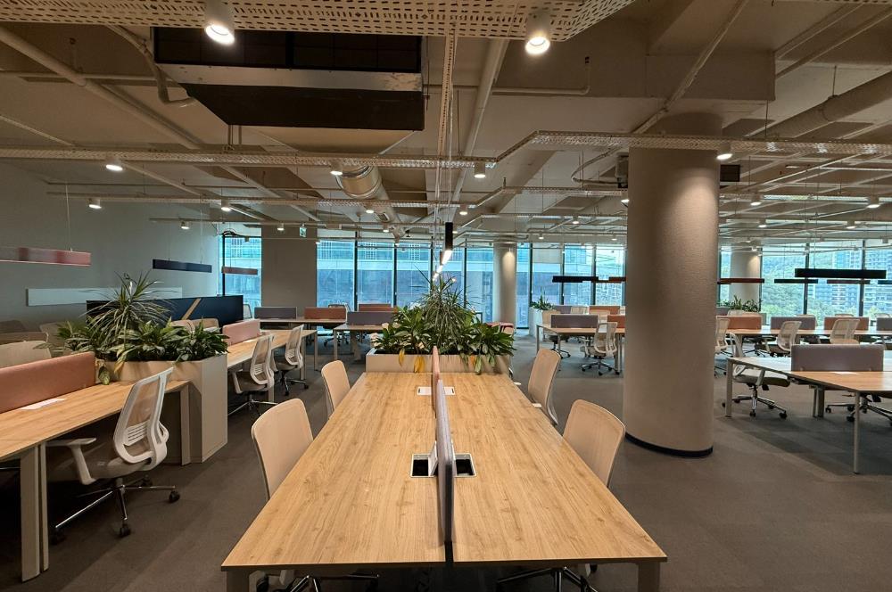 Vadistanbul'da 791m² Eşyalı, Teraslı Kiralık Ofis