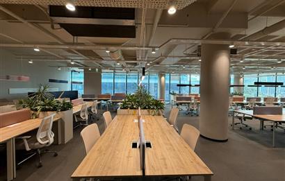 Vadistanbul'da 791m² Eşyalı, Teraslı Kiralık Ofis