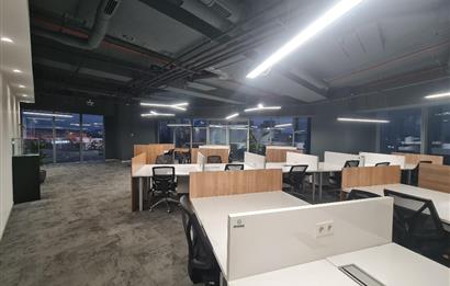 Skyland Kiralık Mobilyalı Teraslı Ofis 465m2 Vadistanbul Seba