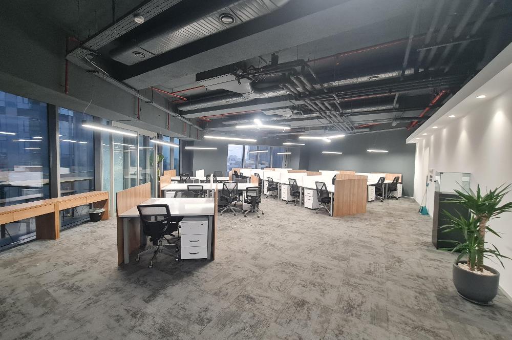 Skyland Kiralık Mobilyalı Teraslı Ofis 465m2 Vadistanbul Seba