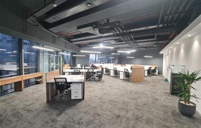 Skyland Kiralık Mobilyalı Teraslı Ofis 465m2 Vadistanbul Seba