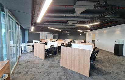 Skyland Kiralık Mobilyalı Teraslı Ofis 465m2 Vadistanbul Seba