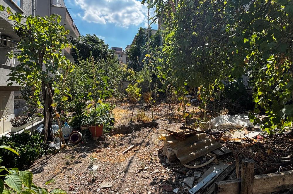 C21 BAL'dan TOYGAR MAHALLESİ 126 m2 SATILIK ARSA