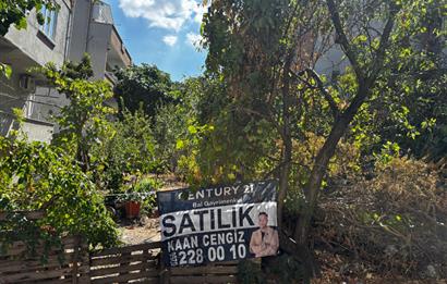 C21 BAL'dan TOYGAR MAHALLESİ 126 m2 SATILIK ARSA