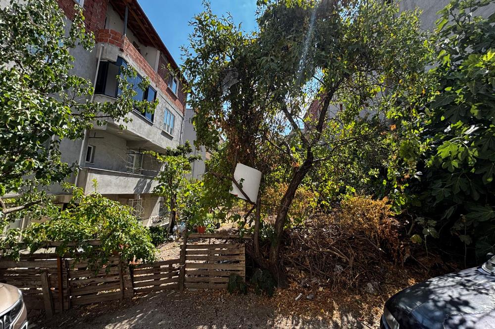 C21 BAL'dan TOYGAR MAHALLESİ 126 m2 SATILIK ARSA