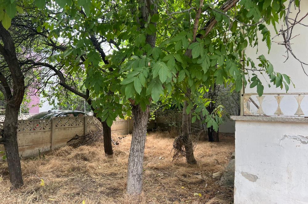 Doğukent'te 250m² Bahçeli Kiralık Müstakil Ev  
