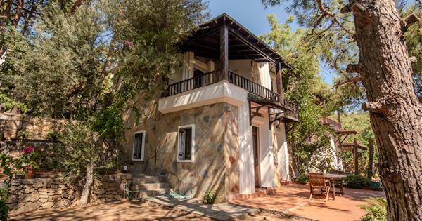 BODRUM'UN İÇİNDE DOĞANIN TAM KALBİNDE MUHTEŞEM MANZARALI VİLLA - 36521