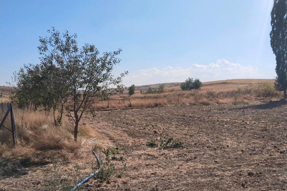 CENTURY21 VİZYON'DAN SATILIK MÜSTAKİL TAPULU 1550 m2HOBİ BAHÇESİ