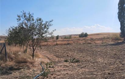 CENTURY21 VİZYON'DAN SATILIK MÜSTAKİL TAPULU 1550 m2HOBİ BAHÇESİ