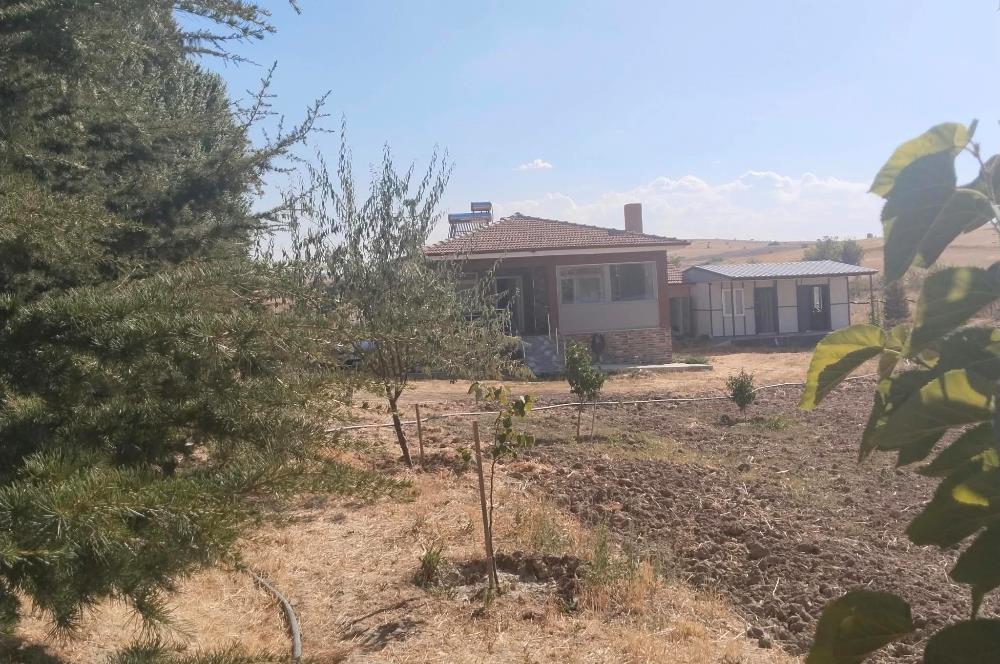 CENTURY21 VİZYON'DAN SATILIK MÜSTAKİL TAPULU HOBİ BAHÇESİ
