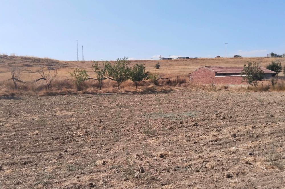 CENTURY21 VİZYON'DAN SATILIK MÜSTAKİL TAPULU 1400 m2HOBİ BAHÇESİ