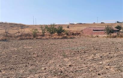 CENTURY21 VİZYON'DAN SATILIK MÜSTAKİL TAPULU 1400 m2HOBİ BAHÇESİ