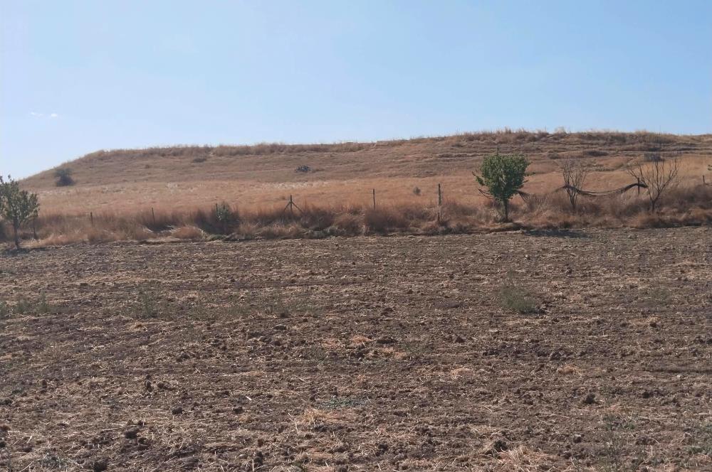 CENTURY21 VİZYON'DAN SATILIK MÜSTAKİL TAPULU 1400 m2HOBİ BAHÇESİ