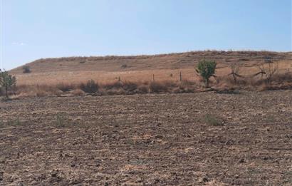 CENTURY21 VİZYON'DAN SATILIK MÜSTAKİL TAPULU 1400 m2HOBİ BAHÇESİ