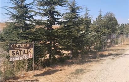 CENTURY21 VİZYON'DAN SATILIK MÜSTAKİL TAPULU HOBİ BAHÇESİ