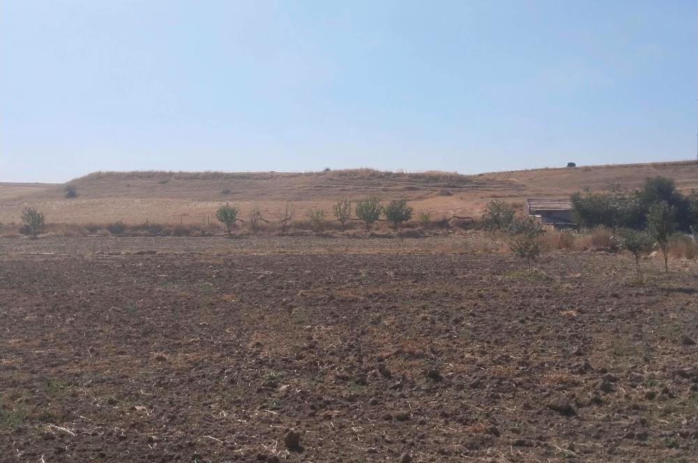 CENTURY21 VİZYON'DAN SATILIK MÜSTAKİL TAPULU 1400 m2HOBİ BAHÇESİ