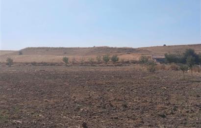 CENTURY21 VİZYON'DAN SATILIK MÜSTAKİL TAPULU 1400 m2HOBİ BAHÇESİ