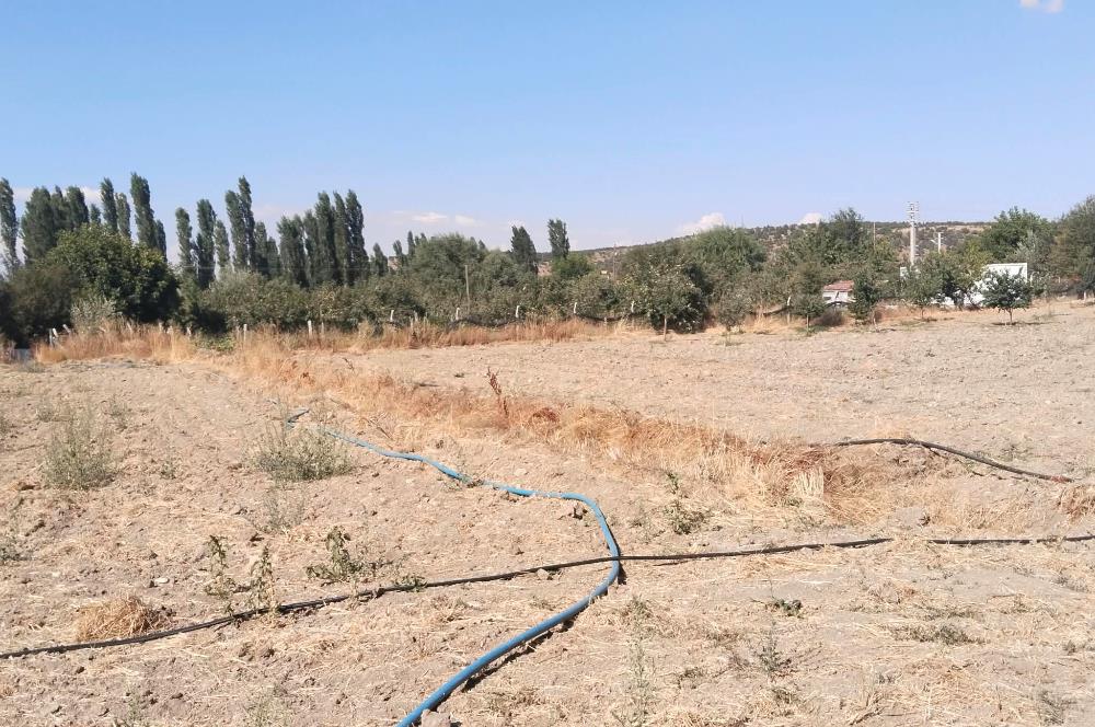 CENTURY21 VİZYON'DAN SATILIK MÜSTAKİL TAPULU 1400 m2HOBİ BAHÇESİ