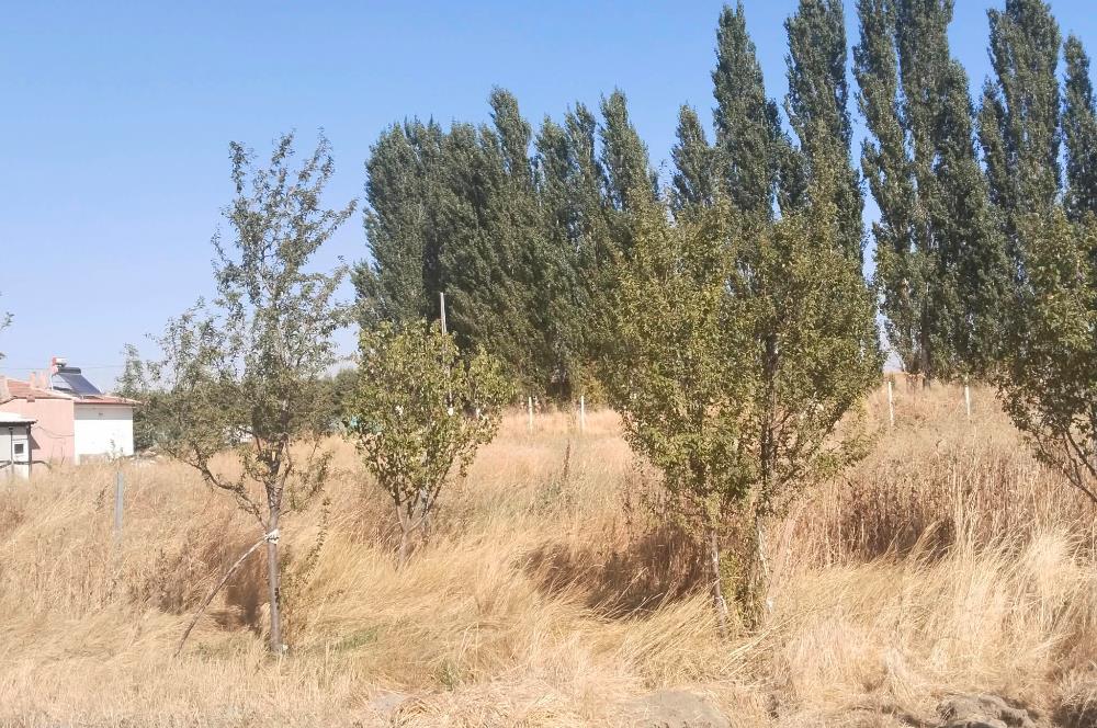 CENTURY21 VİZYON'DAN SATILIK MÜSTAKİL TAPULU 1550 m2HOBİ BAHÇESİ