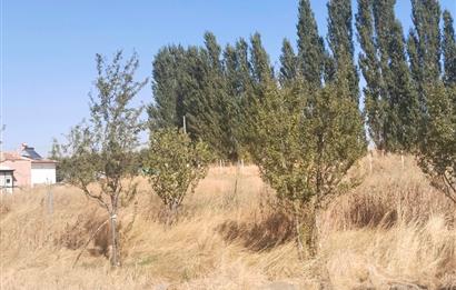 CENTURY21 VİZYON'DAN SATILIK MÜSTAKİL TAPULU 1550 m2HOBİ BAHÇESİ