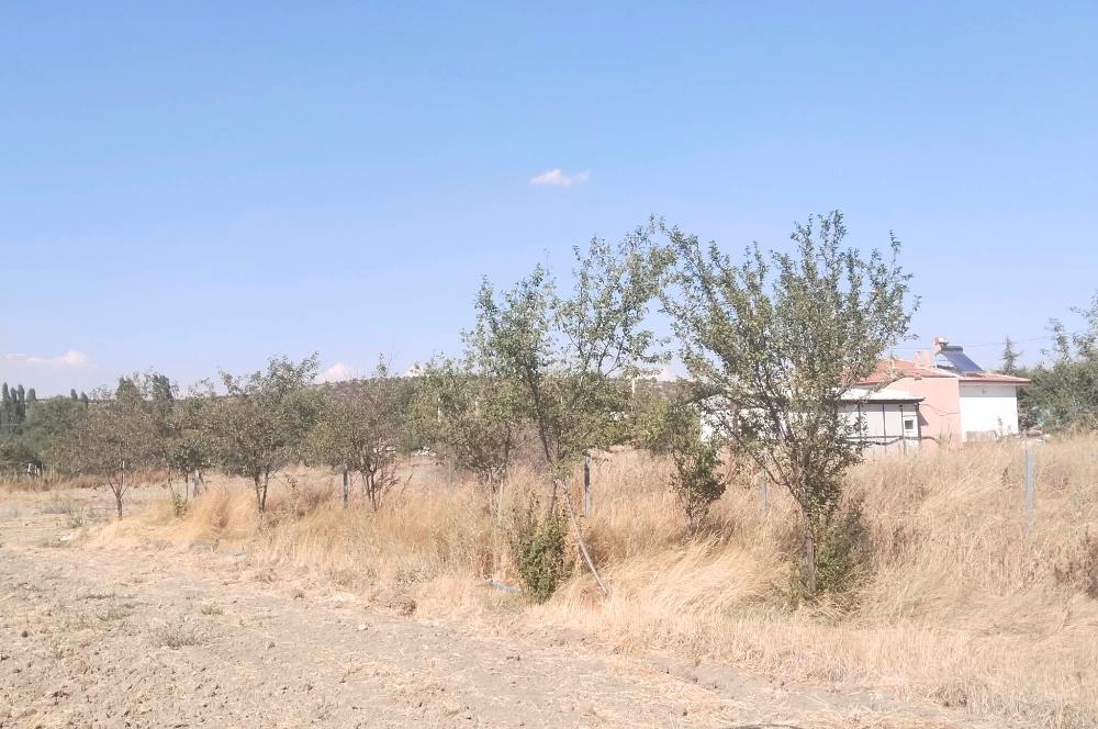 CENTURY21 VİZYON'DAN SATILIK MÜSTAKİL TAPULU 1550 m2HOBİ BAHÇESİ