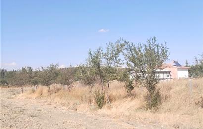 CENTURY21 VİZYON'DAN SATILIK MÜSTAKİL TAPULU 1550 m2HOBİ BAHÇESİ