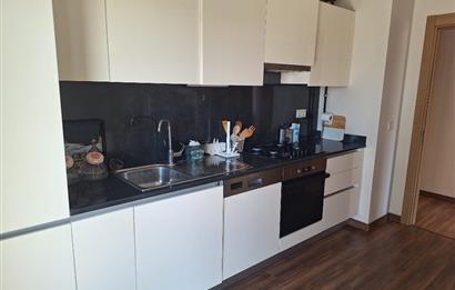 NEF ORMANTEPE YAVRU ETAPTA EŞYALI BÜYÜK 2+1