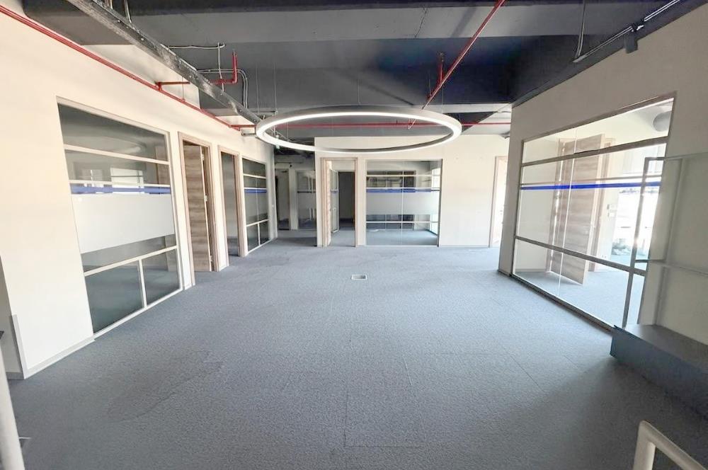 KAĞITHANE PAPİRUS PLAZADA 750 M² KİRALIK HAZIR OFİS
