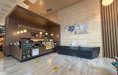 KAĞITHANE PAPİRUS PLAZADA 750 M² KİRALIK HAZIR OFİS