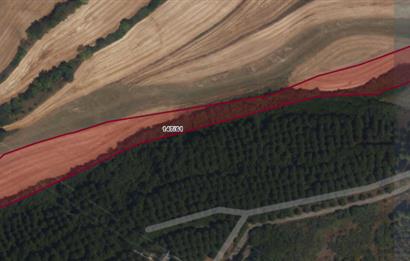 Arnavutköy Boyalık Kanal İstanbul Şehir Planında Müstakil Parsel