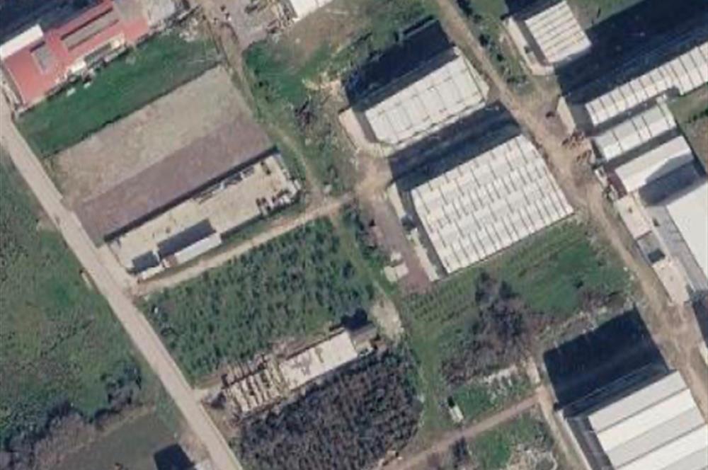 Yalova Altınovada Kiralık Hangar 
