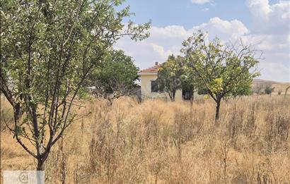 TEMELLİ ÇOKÖEREN' DE TEK TAPU 10343 m2