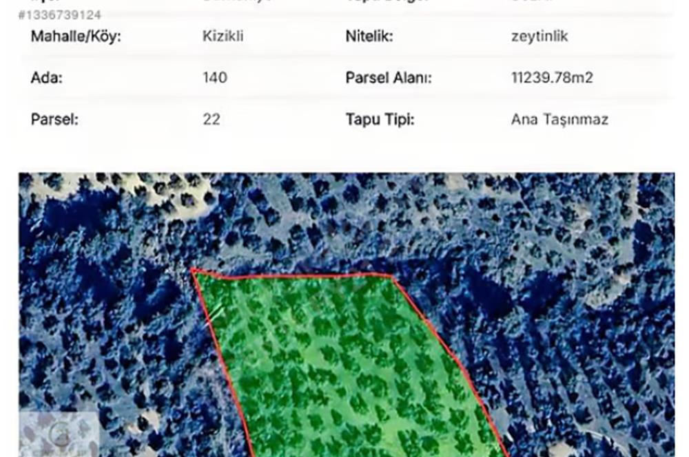 Burhaniye Kızıklı'da 4856 m² Yola Cepheli Satılık Arazi