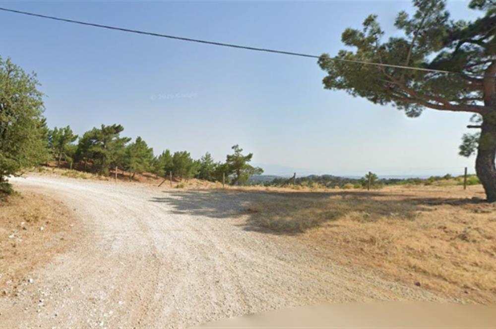 ACİL SATLIK ARSA AYVACIK ŞAP KÖYDE 283 m2 & EKO TURİZM İMARLIDIR