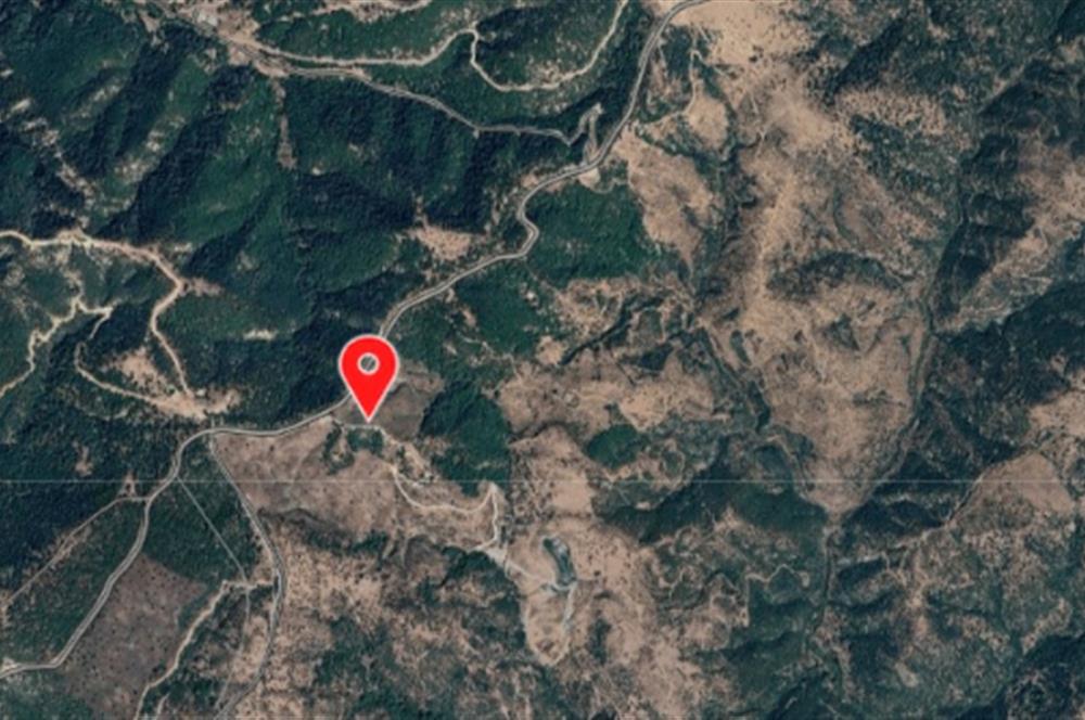 ACİL SATLIK ARSA AYVACIK ŞAP KÖYDE 283 m2 & EKO TURİZM İMARLIDIR