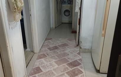 KOŞUYOLU SINIRI BİM ve ÖZKURUŞLAR MARKET ARKASI SÜTÜTYO EŞYALI