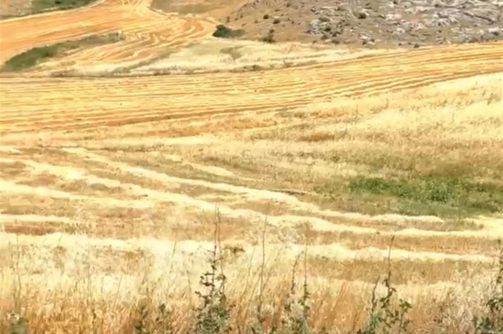 ÇANKAYA ALACAATLI BEYTEPE SINIRI ARSA