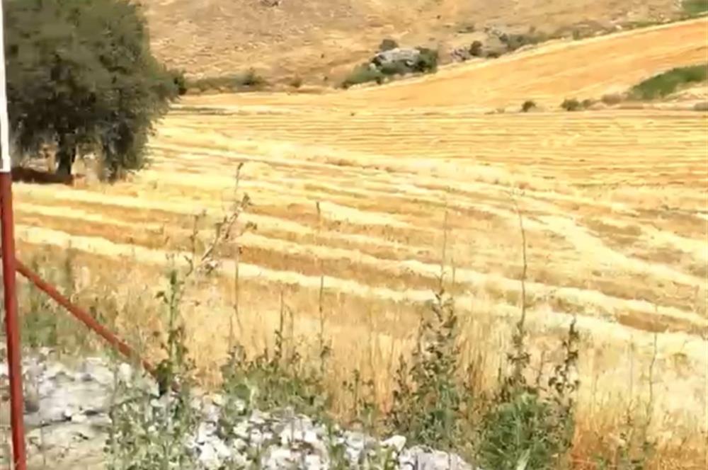 ÇANKAYA ALACAATLI BEYTEPE SINIRI ARSA