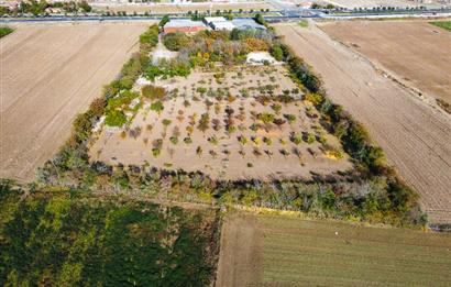 ANKARA ŞEREFLİKOÇHİSAR DİNLENME TESİSİ 32.000M2 ARSA İÇİNDE