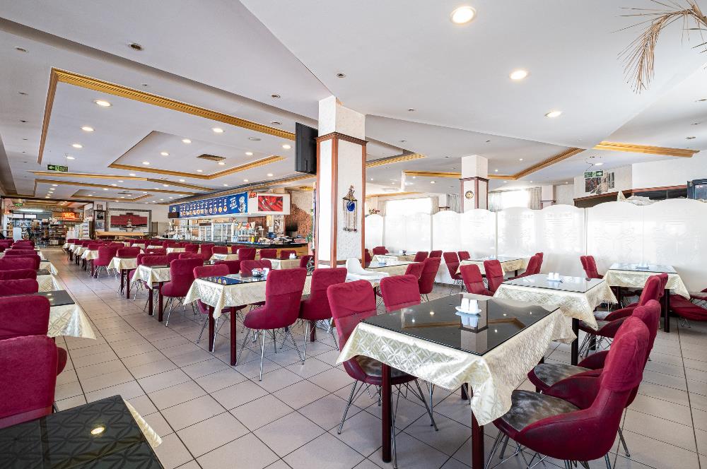 ANKARA ŞEREFLİKOÇHİSAR DİNLENME TESİSİ 32.000M2 ARSA İÇİNDE