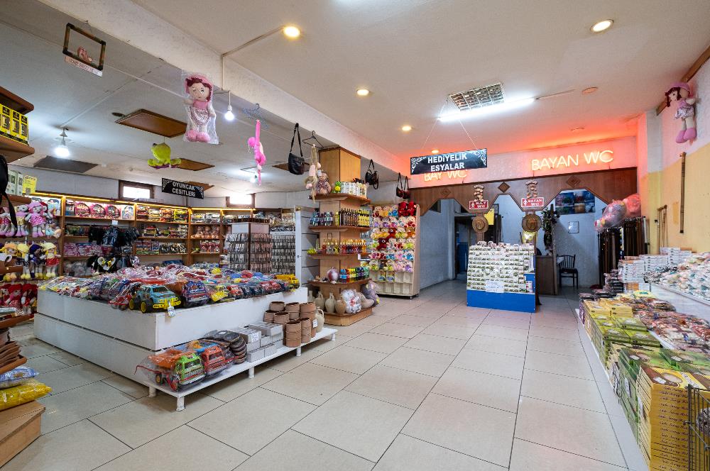 ANKARA ŞEREFLİKOÇHİSAR DİNLENME TESİSİ 32.000M2 ARSA İÇİNDE