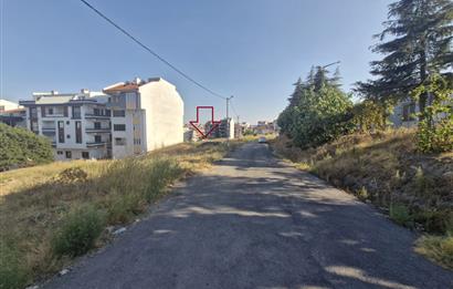 C21 BAL'dan 2.SAKARYA TİCARİ + KONUT İMARLI SATILIK ARSA