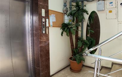 C21 BAL'DAN ATATÜRK MAHALLESİNDE SATILIK 3+1 GENİŞ DAİRE