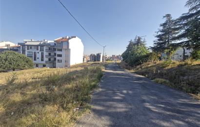 C21 BAL'dan 2.SAKARYA TİCARİ + KONUT İMARLI SATILIK ARSA